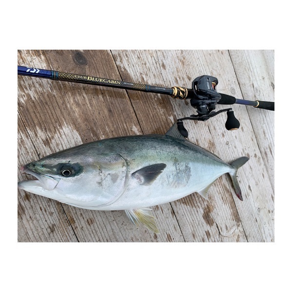 25クラブブルーキャビンメタルチューンさぐりづり